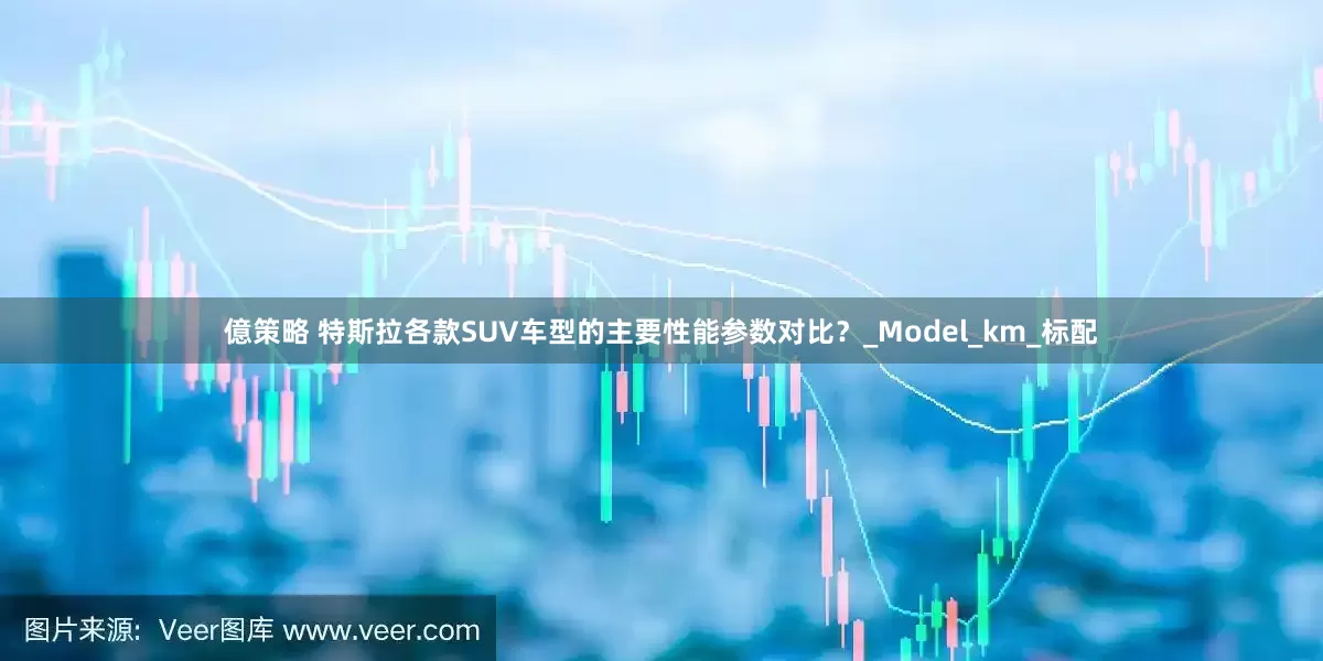 億策略 特斯拉各款SUV车型的主要性能参数对比？_Model_km_标配